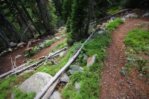 mountain bike wilderness trail